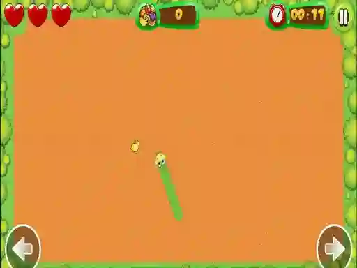 Fruit Snake